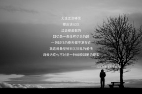 爱游戏 电竞-冈比亚女篮在非洲锦标赛中取得历史性突破