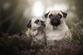 AYX GAME-城市马拉松赛事密集市民参与热情高涨，城市马拉松意义何在