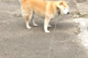 爱游戏体育-体育新闻中心上线智能体育资讯定制推送服务，体育新闻网址大全