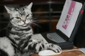 AYX体育-里根·史密斯女子50米仰泳决赛夺冠瞬间，雷根史密斯200米仰泳