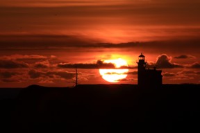 AYX GAME-德甲积分榜的最新动态分析，德甲积分榜的最新动态分析