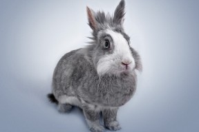 爱游戏官方-英超冲刺激烈：悬念、精彩、荣耀不停！，英超满场