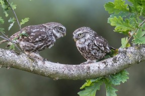 AIYOUXI.COM-国际热身赛中国女足爆冷 球员表现起伏不定，中国女足热身赛直播