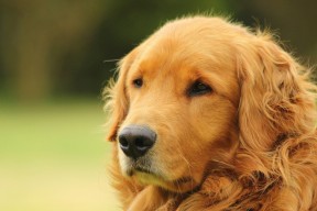 爱游戏娱乐-突尼斯希望中卫多次关键解围，保定附属医院有心理科吗