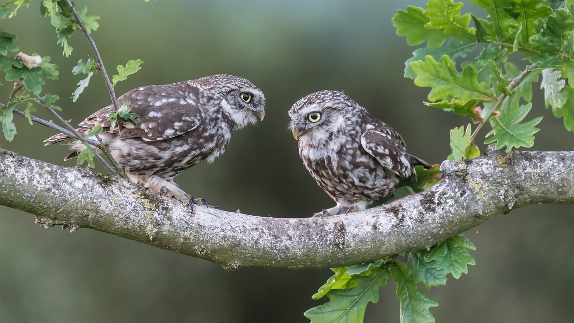 国际热身赛中国女足爆冷 球员表现起伏不定，中国女足热身赛直播