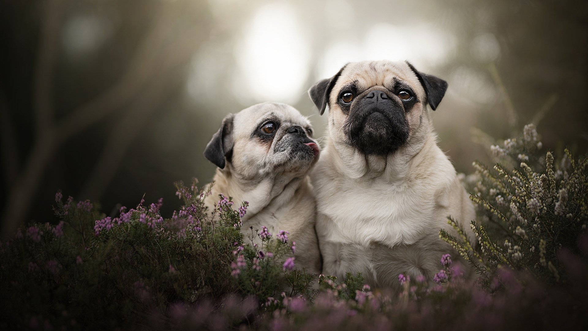城市马拉松赛事密集市民参与热情高涨，城市马拉松意义何在