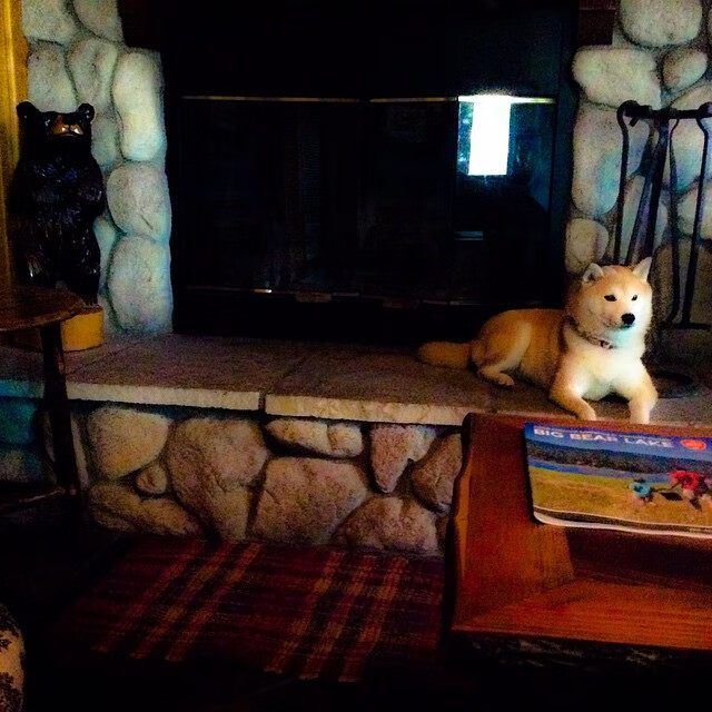 田径专项训练场引入智能环境控制设备，田径场设施