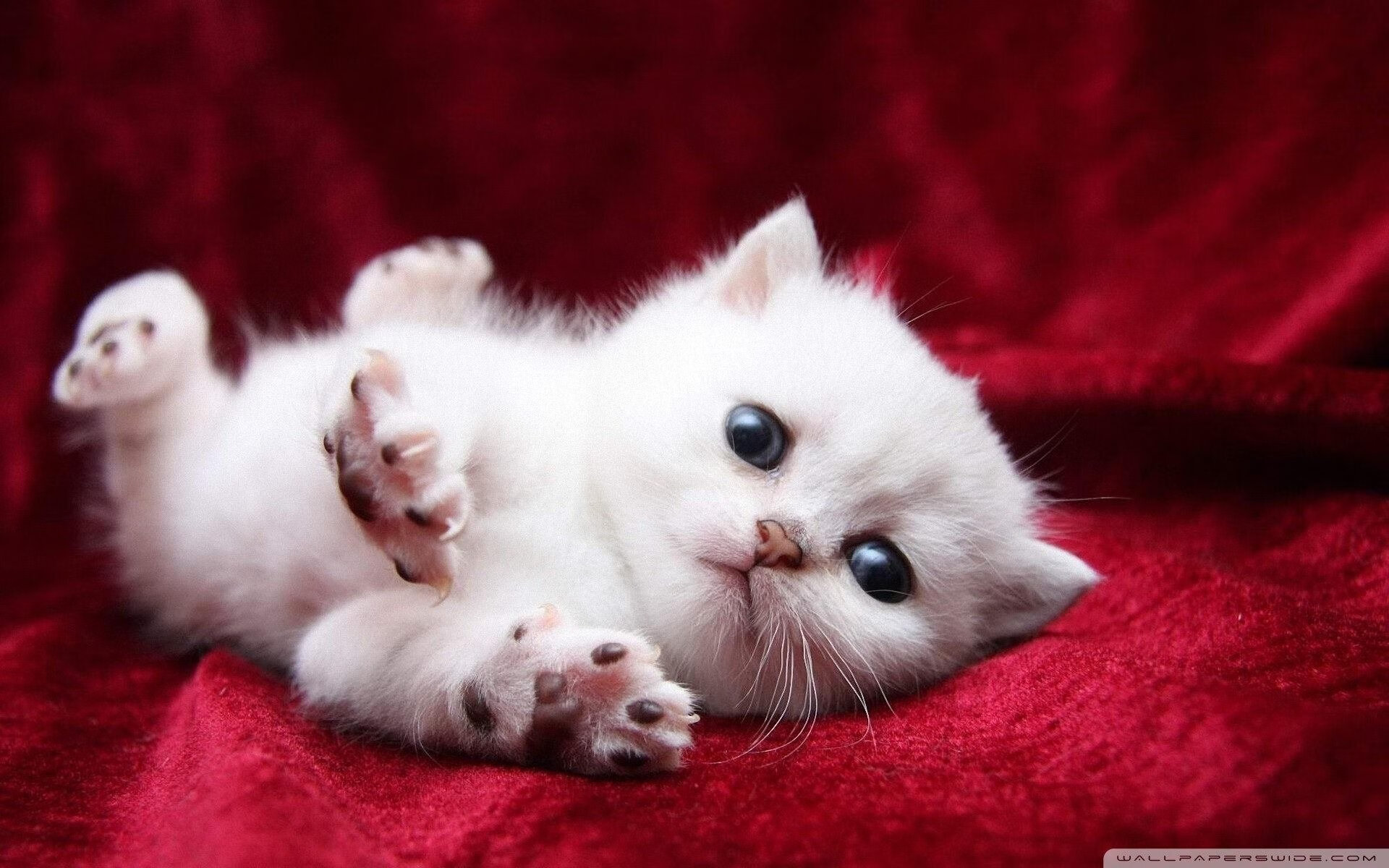 76人教练团队设置小组战术讨论提升参与感,76人的教练