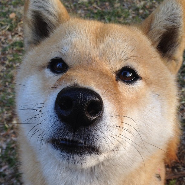 中超俱乐部引入荣誉激励机制激发球员拼搏动力，中超俱乐部怎么盈利