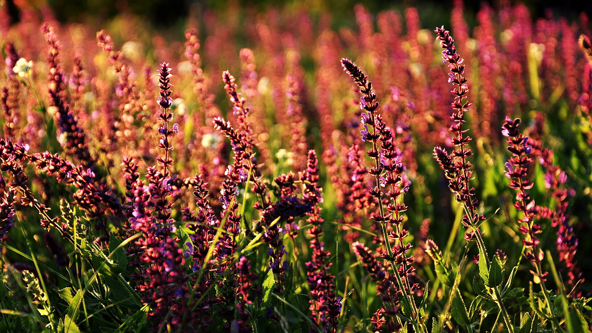 体育新闻中心赛场外的故事，体育新闻赛事报道标题大全