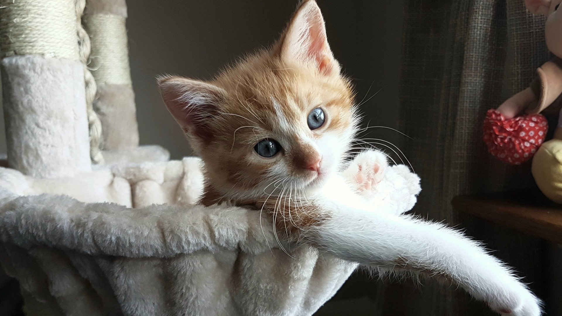 中国男排世锦赛名单揭晓,江川带队冲击佳绩,2022年中国男排世锦赛